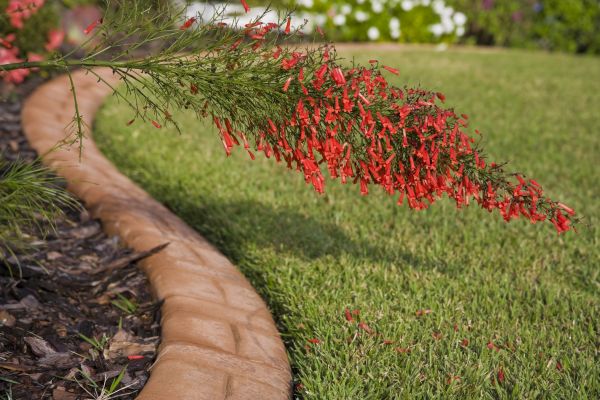 Brick Edging in Pompano Beach