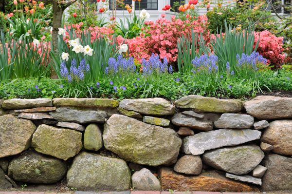 Stone Wall Hardscaping in Pompano Beach