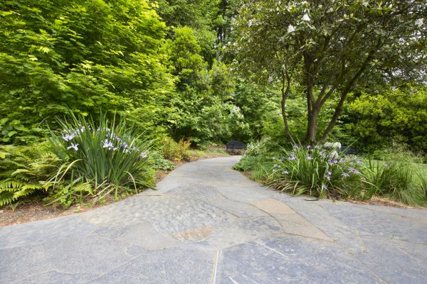 Stone Hardscape Service in Pompano Beach